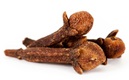 cloves