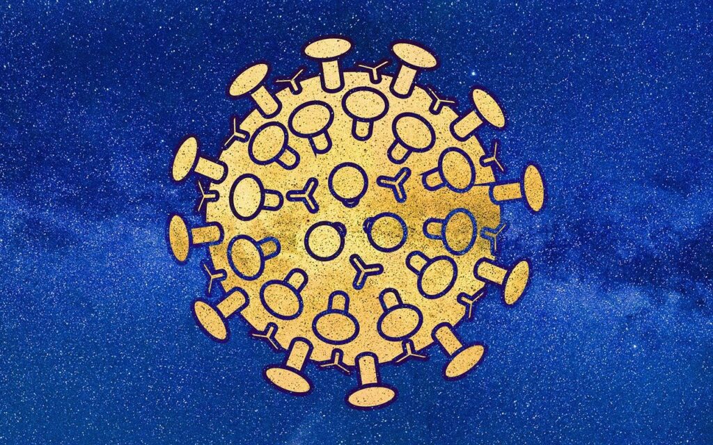 A virus